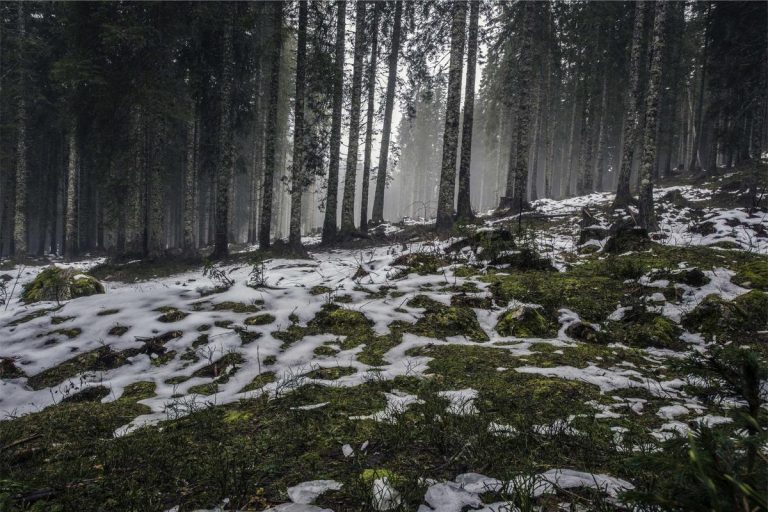 কক্সবাজার ভ্রমণের একটি সম্পূর্ণ গাইড