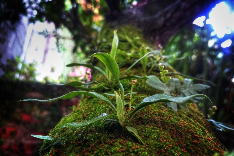 বই পড়ার অভ্যাস গড়ে তোলার ছোট ছোট ধাপ